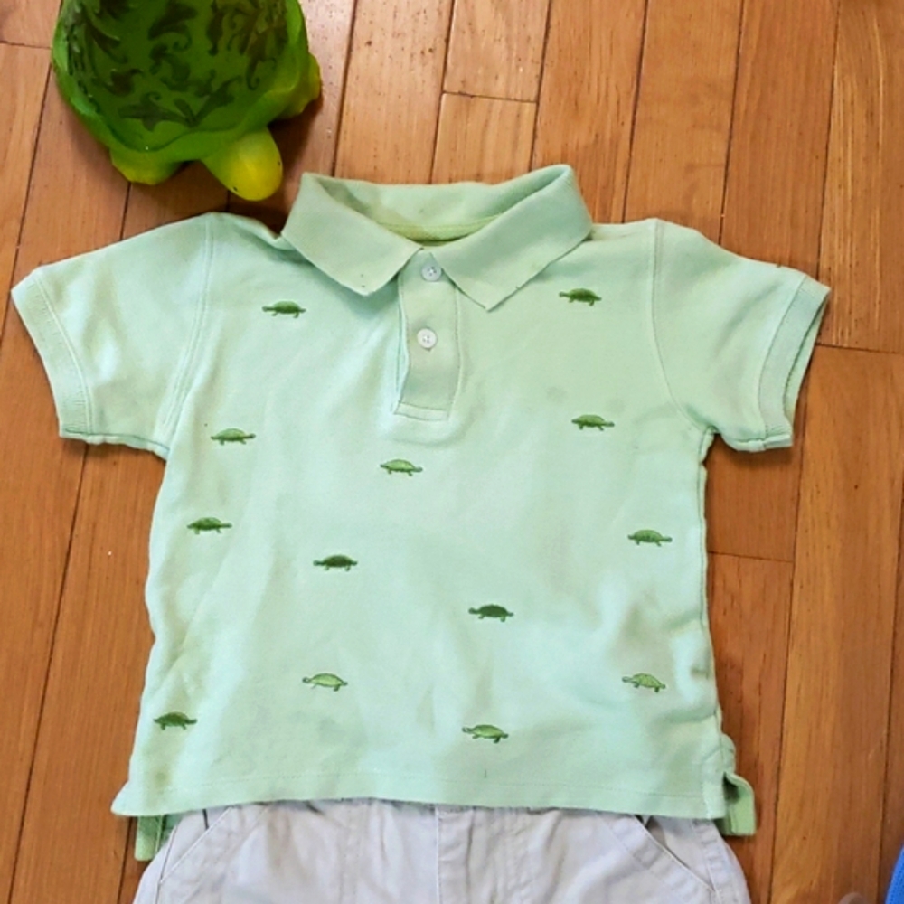 Cute Turtle Set - Picture 4 of 11